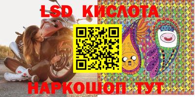 apvp Славгород