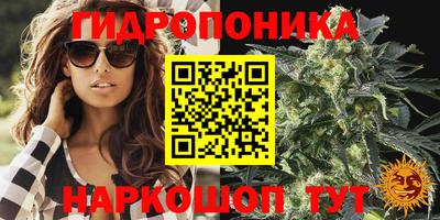 ешки Моздок
