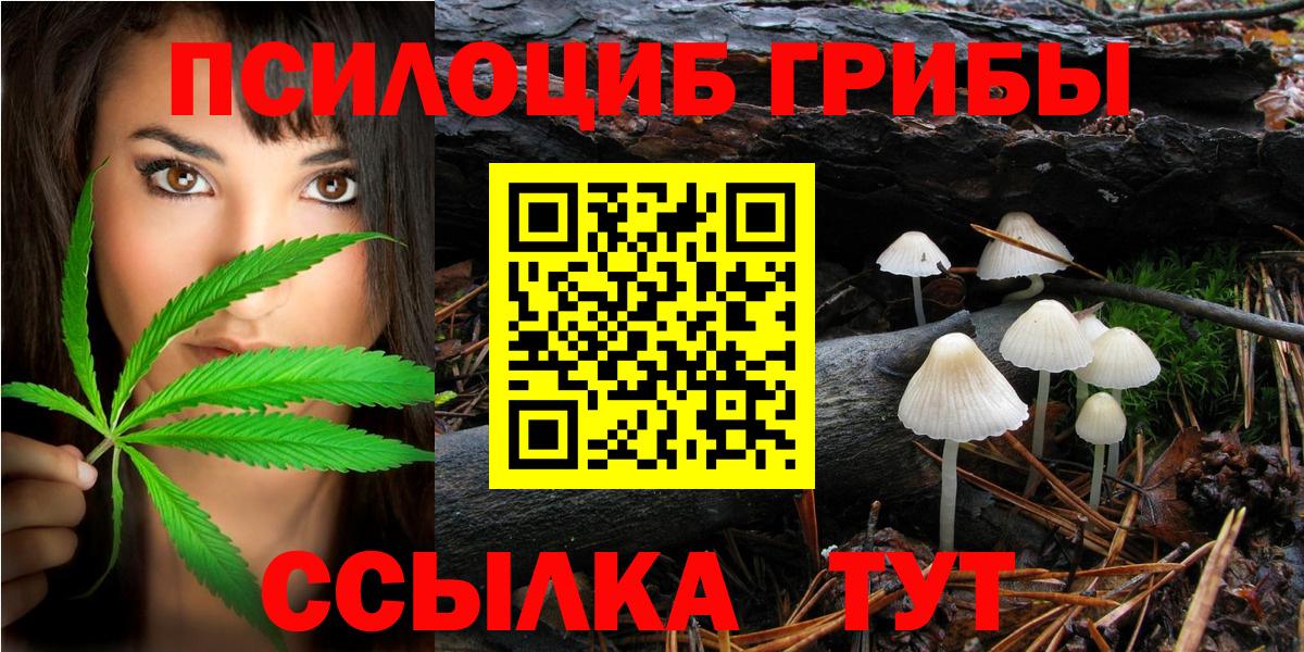 Великий Новгород  Галлюциногенные грибы Psilocybine cubensis  Вход с VPN 